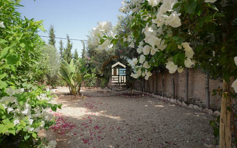 Maison 2 ch LLD - Bouzama (7)